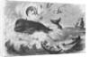 Whaling, The Flurry, Woodcut by Anonymous