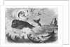 Whaling, The Flurry, Woodcut by Anonymous