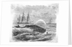 Whale Being Harpooned by Anonymous