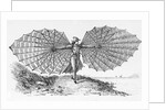 Man with His Glider by Anonymous