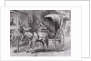 New Country Doctor Arriving in Town by Wagon by Anonymous