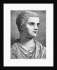 Portrait of Tiberius by Anonymous