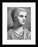 Portrait of Tiberius by Anonymous