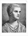 Portrait of Tiberius by Anonymous