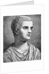 Portrait of Tiberius by Anonymous