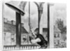 Ringing the Tocsin of Liberty by Anonymous