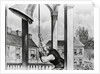 Ringing the Tocsin of Liberty by Anonymous