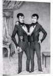 Depiction of Asian Siamese by Anonymous
