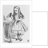 Illustration Depicting Alice Holding the Bottle Labelled "Drink Me" by John Tenniel