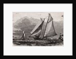 Yachting Competition by Anonymous