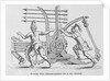 Roman Soldiers Preparing War Machine to Launch Arrows by Anonymous