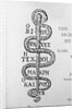 Serpent of Aesculapius by Anonymous