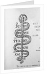 Serpent of Aesculapius by Anonymous