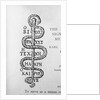 Serpent of Aesculapius by Anonymous