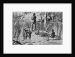 Illustration of Joseph Nicholas Nicollet Exploring Lake Itasca by Anonymous