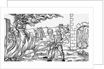 Burning of Witches by Anonymous
