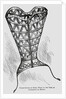 Illustration of a 16th-Century Steel Corset by Anonymous