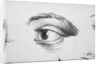 Eye Looking Upward Right by Anonymous