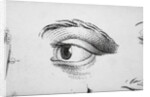 Eye Looking Upward Right by Anonymous