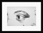 Eye Looking Upward Right by Anonymous