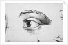 Eye Looking Upward Right by Anonymous