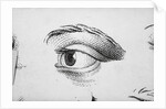Eye Looking Upward Right by Anonymous