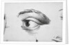 Eye Looking Upward Right by Anonymous
