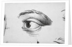 Eye Looking Upward Right by Anonymous