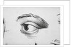 Eye Looking Upward Right by Anonymous
