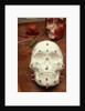 Anasazi Indian Skull Model by Anonymous