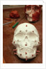 Anasazi Indian Skull Model by Anonymous