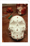 Anasazi Indian Skull Model by Anonymous