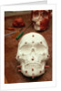 Anasazi Indian Skull Model by Anonymous