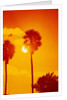 Orange Sunset and Silhouetted Palm Trees by Anonymous