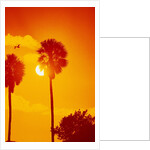 Orange Sunset and Silhouetted Palm Trees by Anonymous