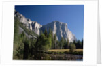 River and Cliffs in the Yosemite National Park by Anonymous