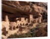 Anasazi Village in the Mesa Verde National Park by Anonymous