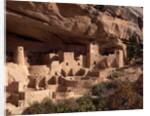 Anasazi Village in the Mesa Verde National Park by Anonymous