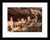 Anasazi Village in the Mesa Verde National Park by Anonymous