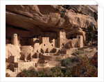 Anasazi Village in the Mesa Verde National Park by Anonymous