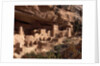 Anasazi Village in the Mesa Verde National Park by Anonymous