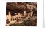 Anasazi Village in the Mesa Verde National Park by Anonymous