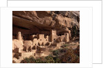 Anasazi Village in the Mesa Verde National Park by Anonymous
