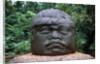 Giant Olmec Head at La Venta Park by Anonymous