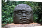 Giant Olmec Head at La Venta Park by Anonymous