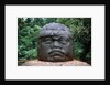 Giant Olmec Head at La Venta Park by Anonymous