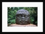Giant Olmec Head at La Venta Park by Anonymous