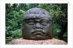 Giant Olmec Head at La Venta Park by Anonymous