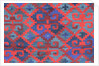 Rug Patterns by Manuel Alvaraz