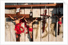 Crucifixes for Sale by Anonymous